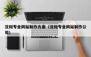 林州沈阳专业网站制作方案（沈阳专业网站制作公司）